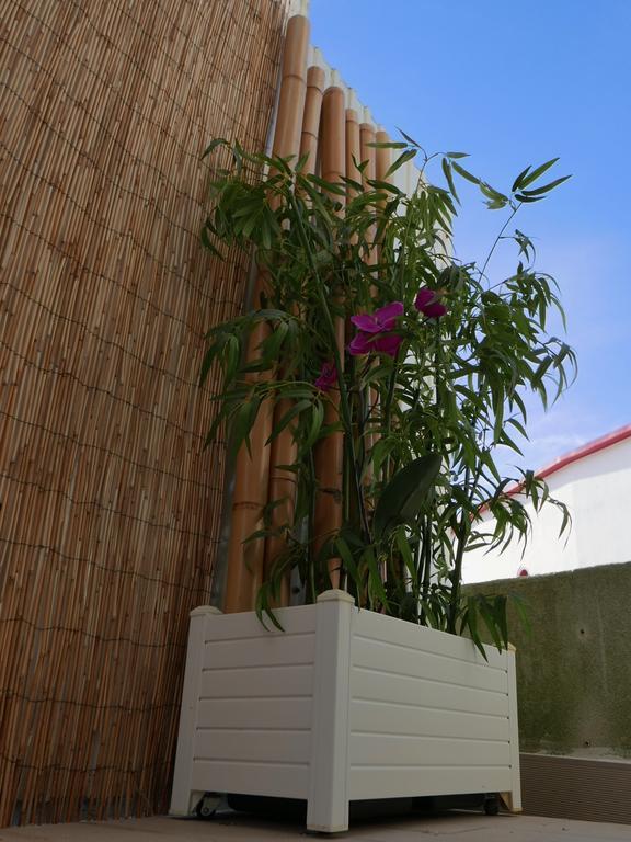 Casa Do Cabeta Villa Nazaré Kültér fotó